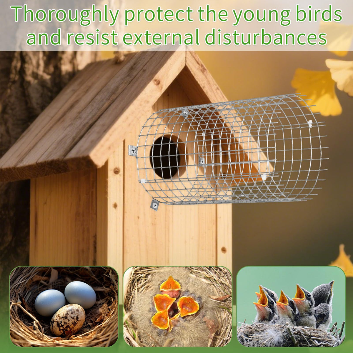LiuLiXia predator protection design keeps larger animals away from the nest.