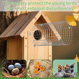 LiuLiXia predator protection design keeps larger animals away from the nest.
