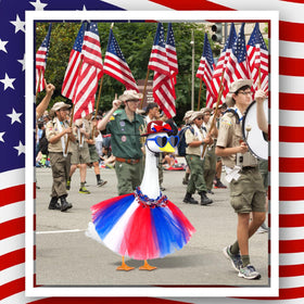 Lixintray Independence Day hat for goose with bold Uncle Sam style.