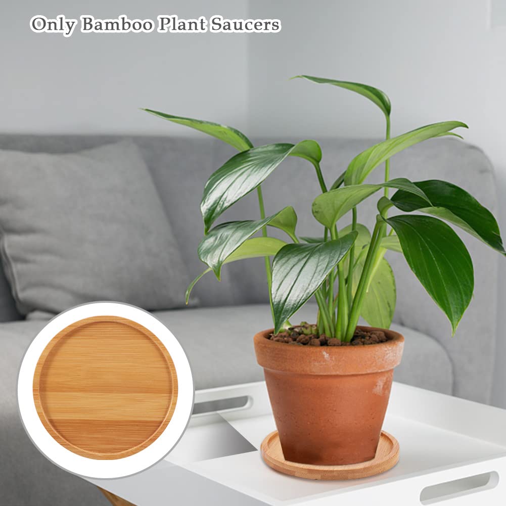 LKEREJOL 4.7-inch saucer set fits most 3-inch pots