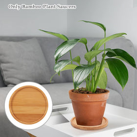 LKEREJOL 4.7-inch saucer set fits most 3-inch pots