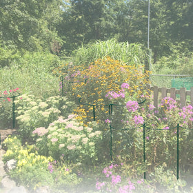 LKSSZS versatile indoor/outdoor trellis solution for peonies and tomatoes