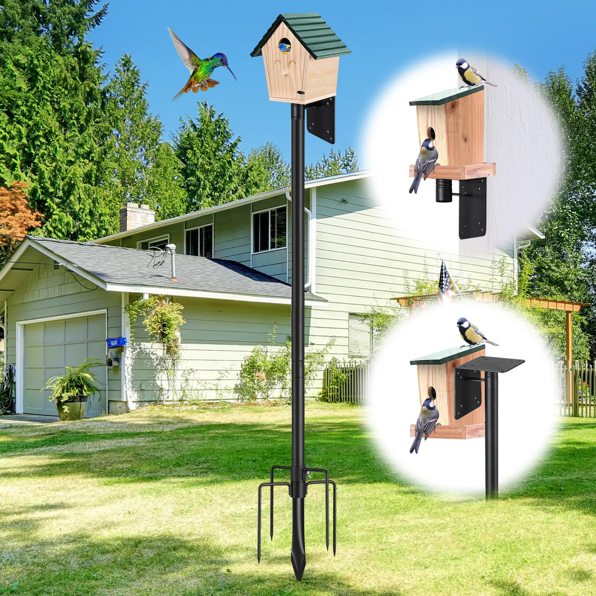 LLARGUEST bird pole with five-pronged base on solid ground for stable outdoor feeding