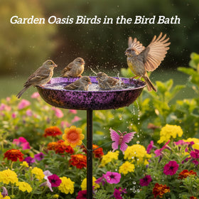 LNGMT bird bath assembly demonstrates tool-free setup for quick outdoor installation.