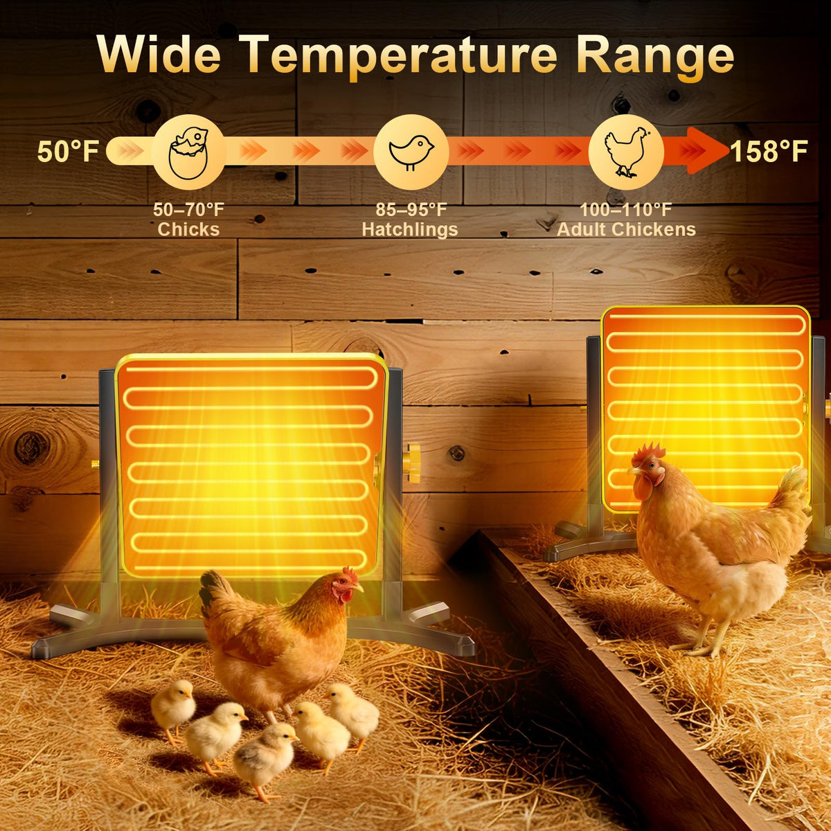 Lobeline brooder plate with 5-height adjustability grows with chicks, from hatchlings to adults.