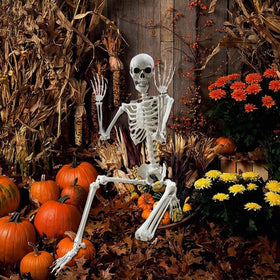 Lodou life-size skeleton design with easy assembly and reusable build