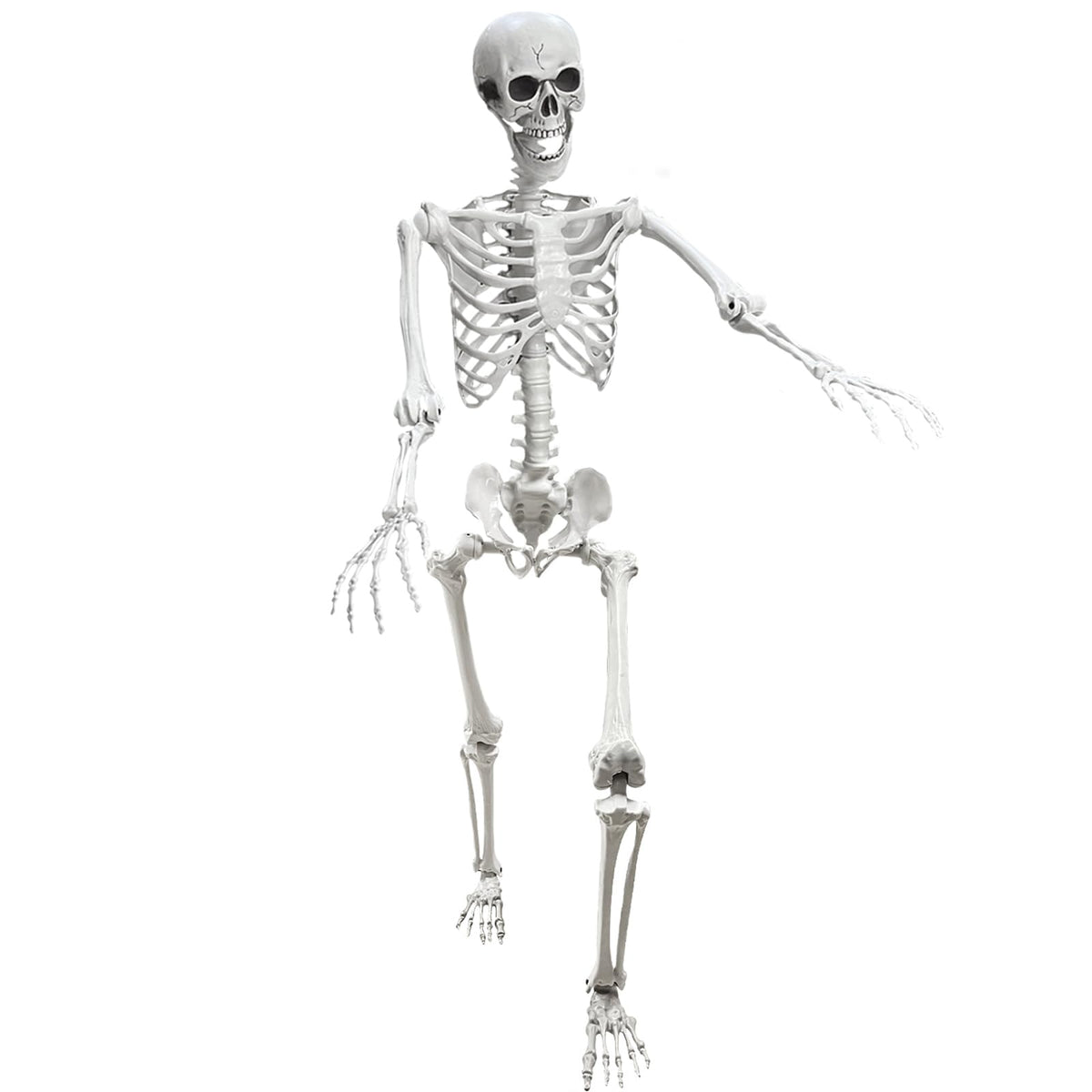 Lodou 5.4ft poseable skeleton with movable joints for dynamic Halloween displays