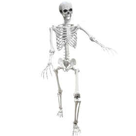 Lodou 5.4ft poseable skeleton with movable joints for dynamic Halloween displays