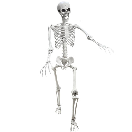Lodou 5.4ft poseable skeleton with movable joints for dynamic Halloween displays