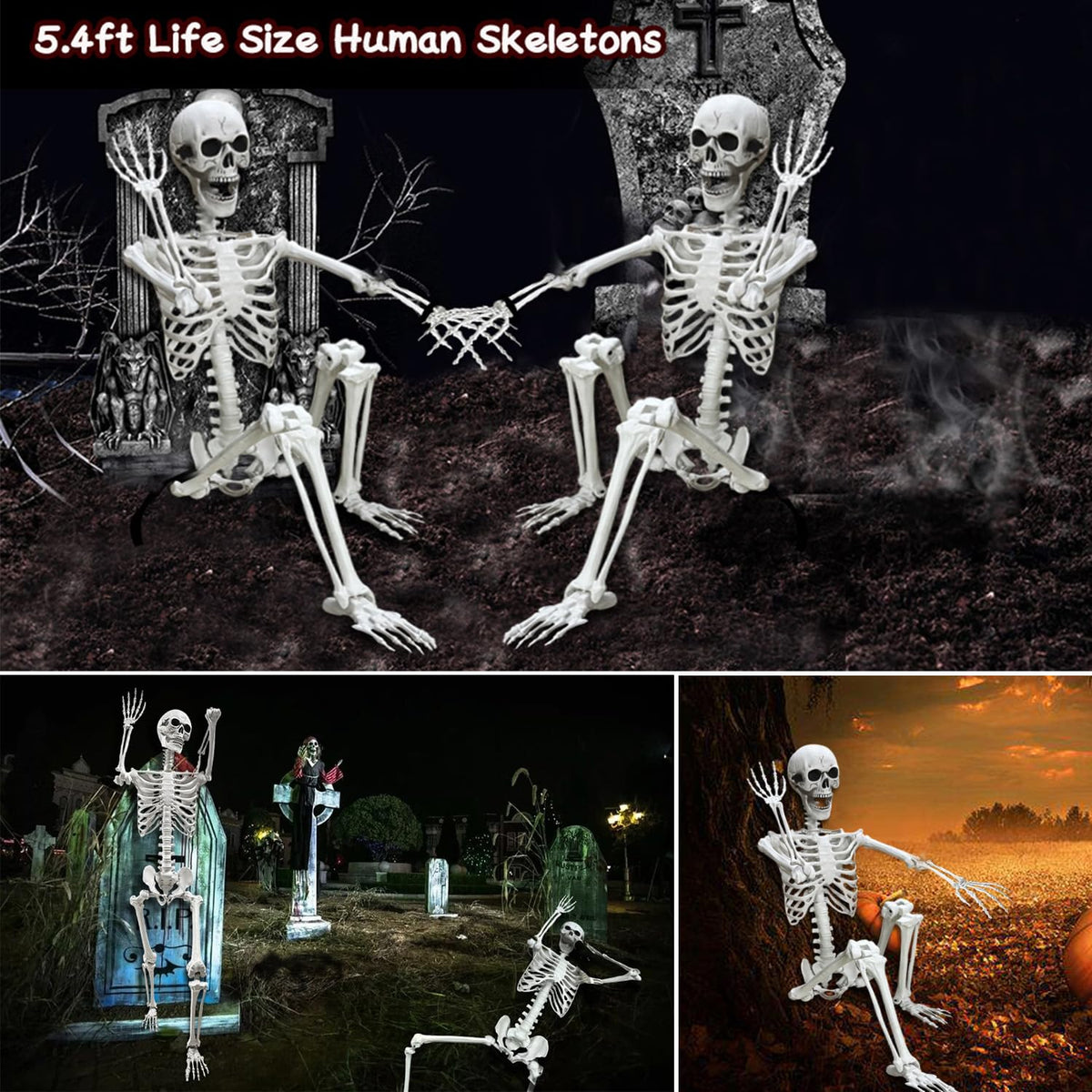 Lodou Halloween decoration skeleton suited for porch or haunted setups