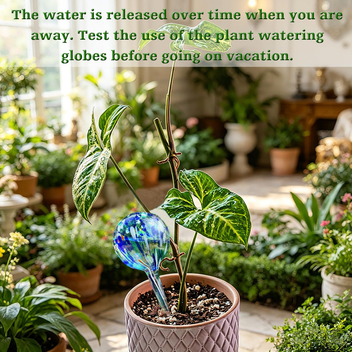 Logresy globes in a hanging basket deliver colorful low maintenance watering