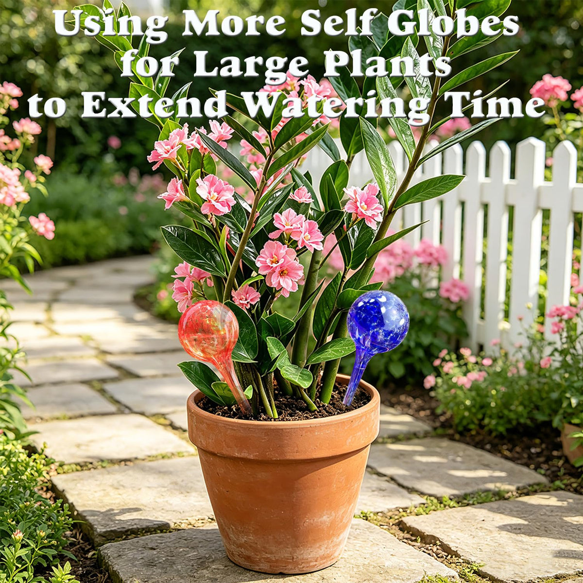 Six colorful Logresy globes packaged for versatile plant care