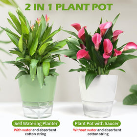 Lokeisna macaroon pink 6-inch pot brightens shelves and windowsills.