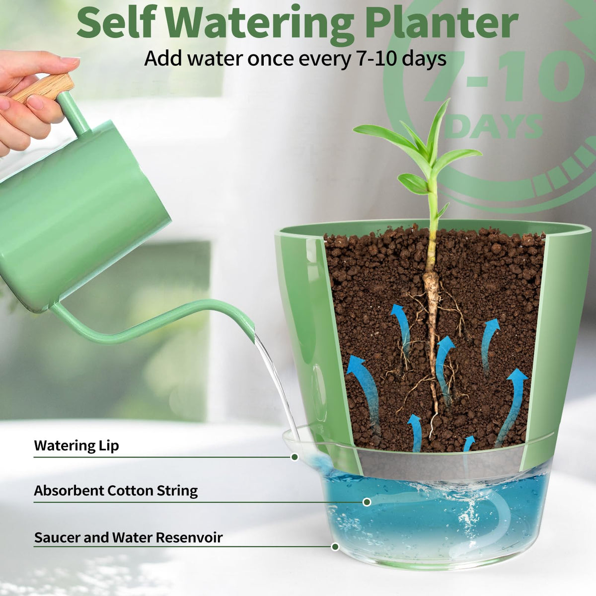 Lokeisna pot with drainage hole helps prevent overwatering and root issues.