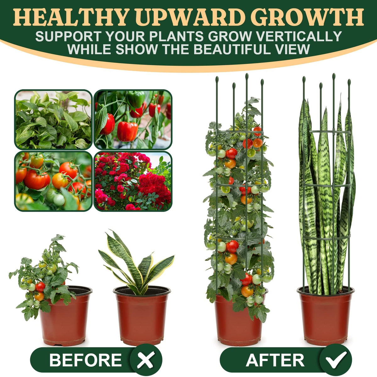 LOMNYIY middle shelf circular ring design keeps plants organized and evenly supported
