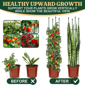 LOMNYIY middle shelf circular ring design keeps plants organized and evenly supported