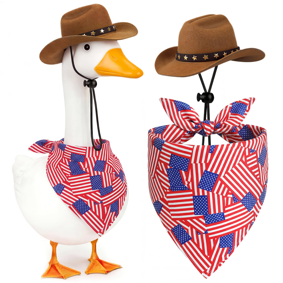 Lomrsiul patriotic goose outfit with cowboy hat for porch appeal.