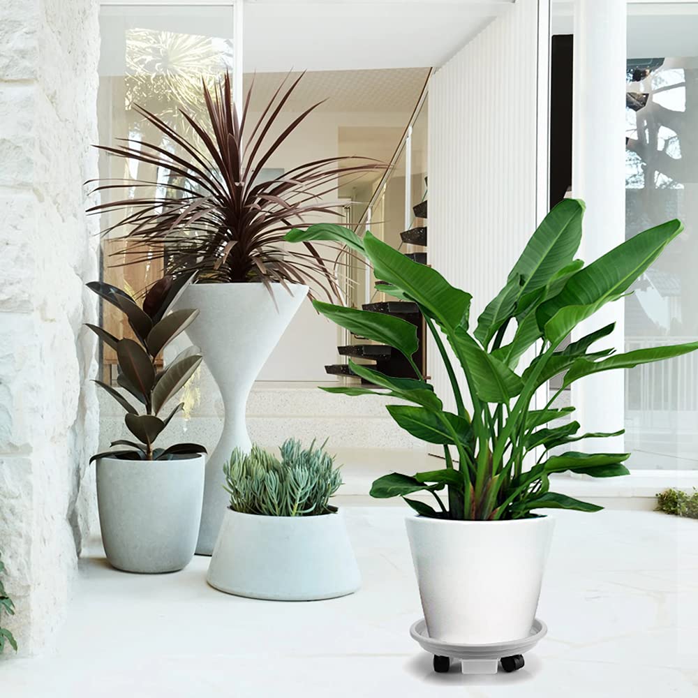 Looca 13 inch diameter caddy fits most pots for stable support.