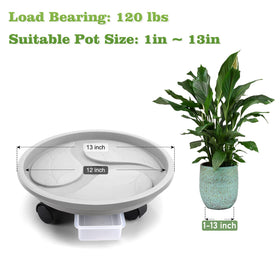 Looca rolling plant stand on silent 360 degree wheels moves pots smoothly.