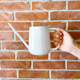 LOOPSEED stylish watering tool resting on a shelf in a bright room.