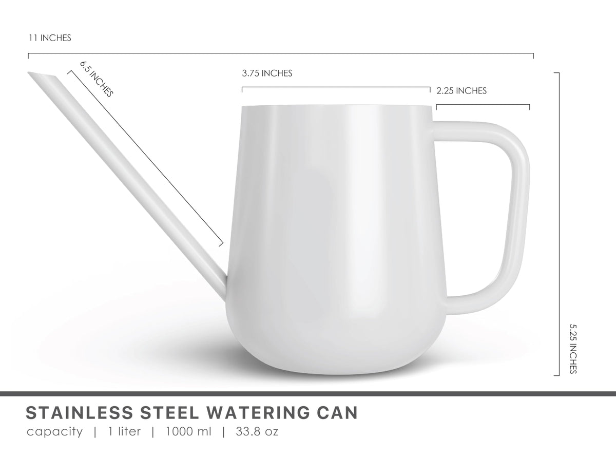 Loopseed watering can shown with succulents and bonsai for targeted moisture delivery.