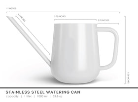 Loopseed watering can shown with succulents and bonsai for targeted moisture delivery.
