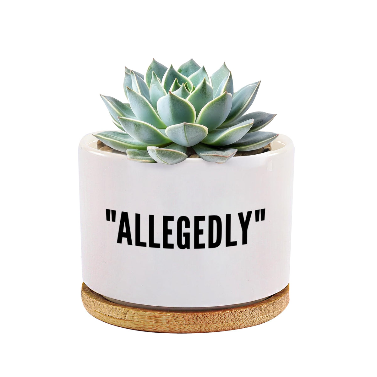Loovelo ceramic-pot 3-5inch white for succulents