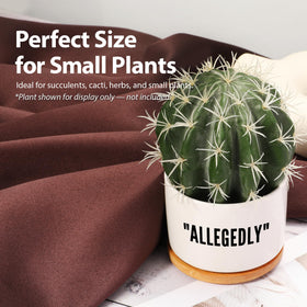 Loovelo home-office-decor with plant pot display