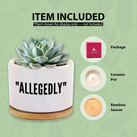Loovelo packaging-ready gift for plant lovers