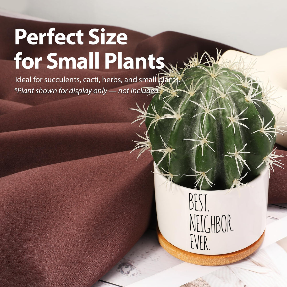 Loovelo gift for plant lovers, a playful and thoughtful option.