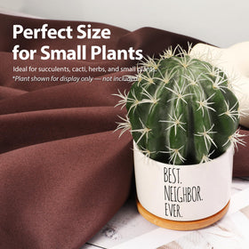 Loovelo gift for plant lovers, a playful and thoughtful option.