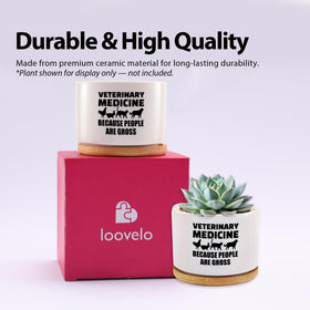 Loovelo ceramic pot 3.5 inch white ideal for small succulents