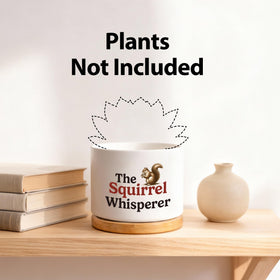 Loovelo Ceramic succulent pot in white suits small plants and brightens desks.