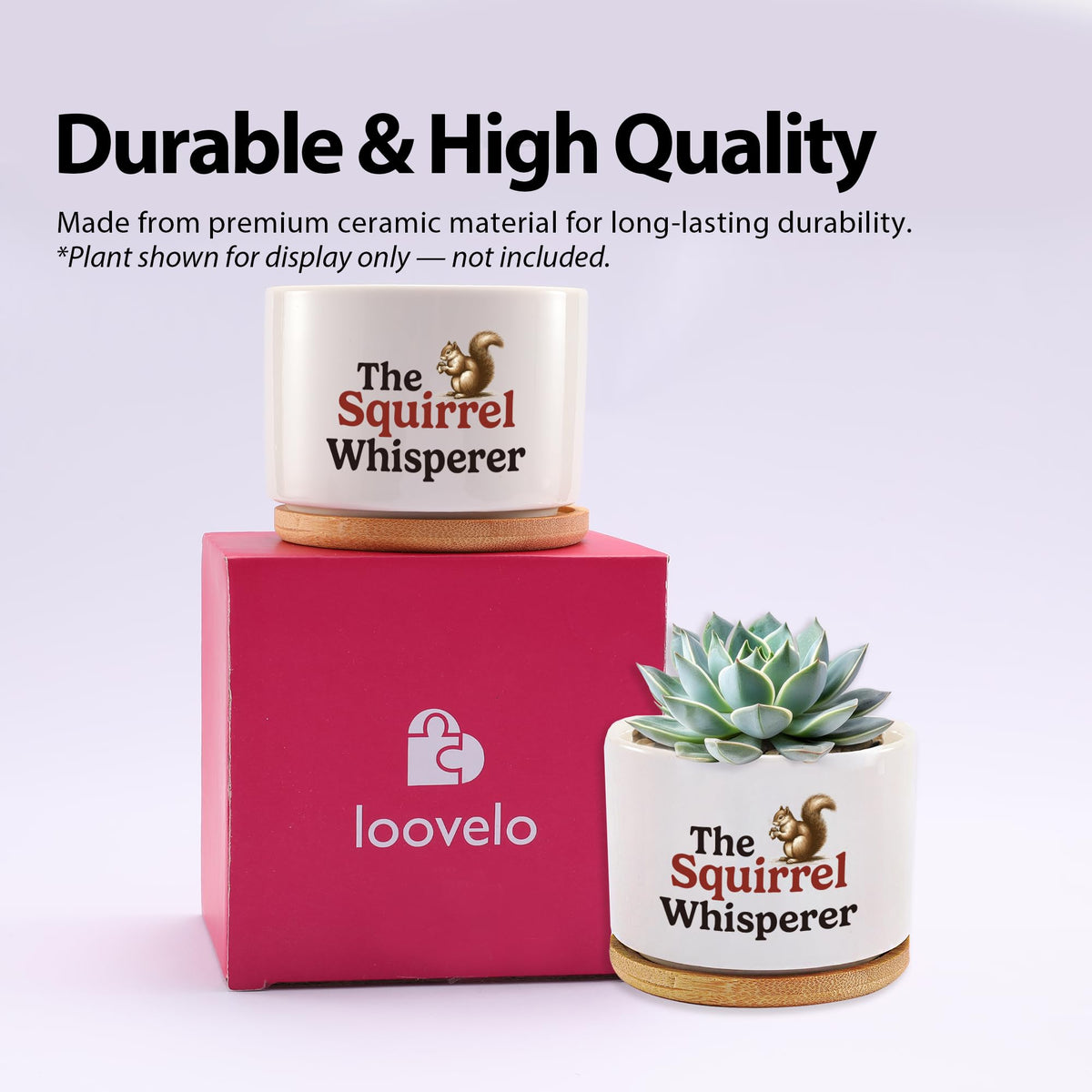 Loovelo desk-friendly succulent holder saves space with compact, stylish design.