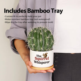 Loovelo drainage hole and bamboo saucer help prevent overwatering.