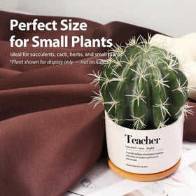 Loovelo end-of-year teacher gift pot for desks