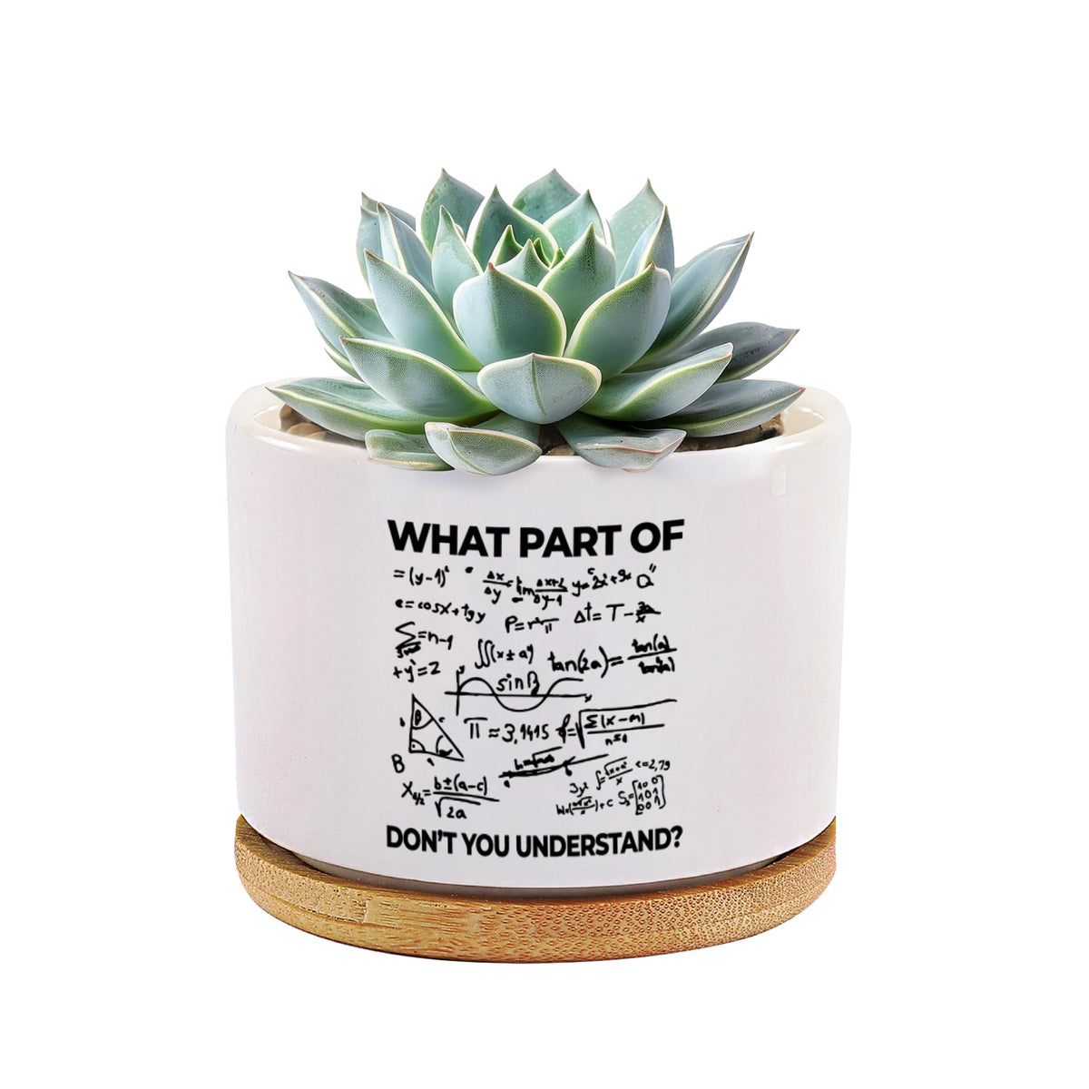 Loovelo engineer pot round ceramic white, ideal for small desk plants and witty decor.