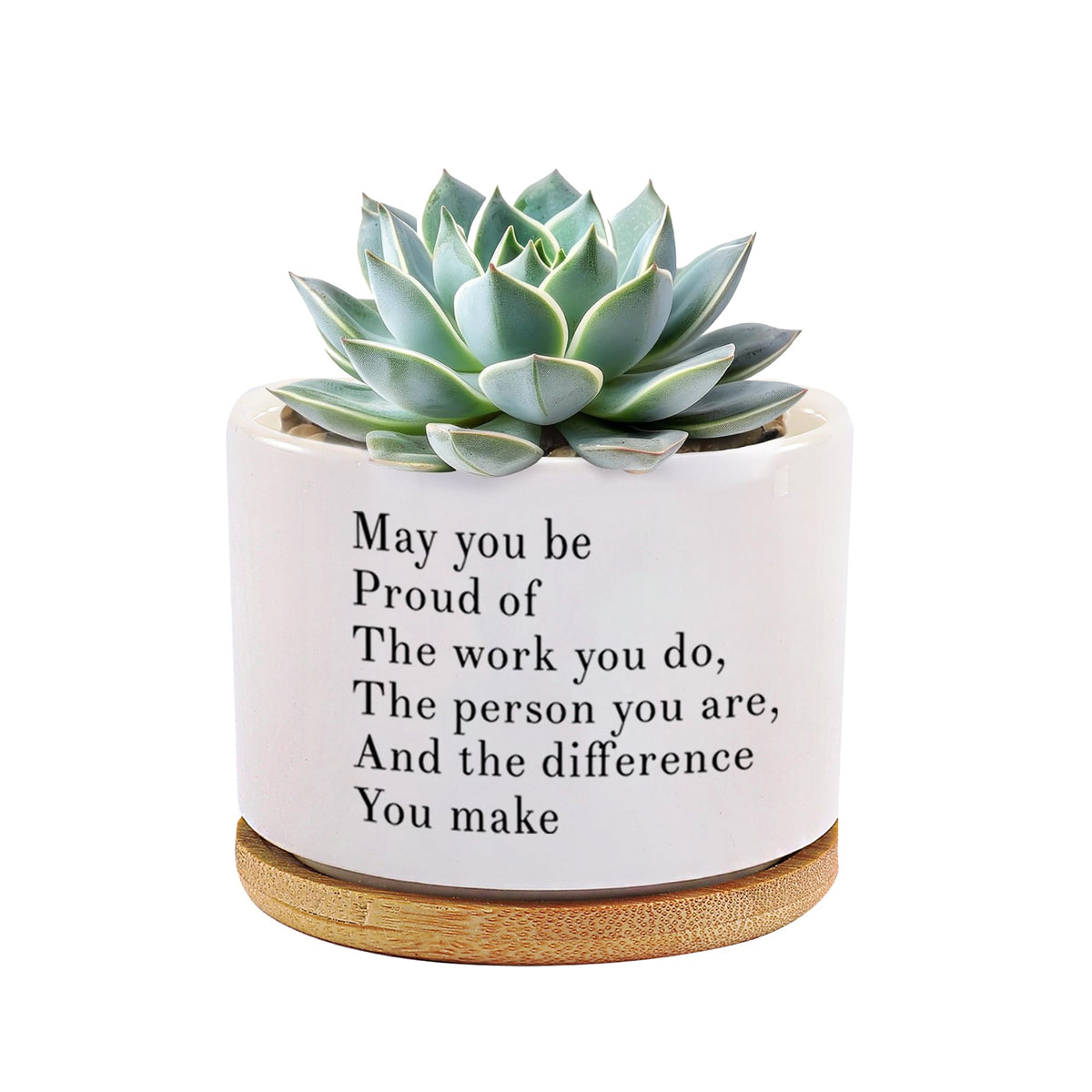 Loovelo May You Be Proud ceramic pot with bamboo tray on desk for elegant decor