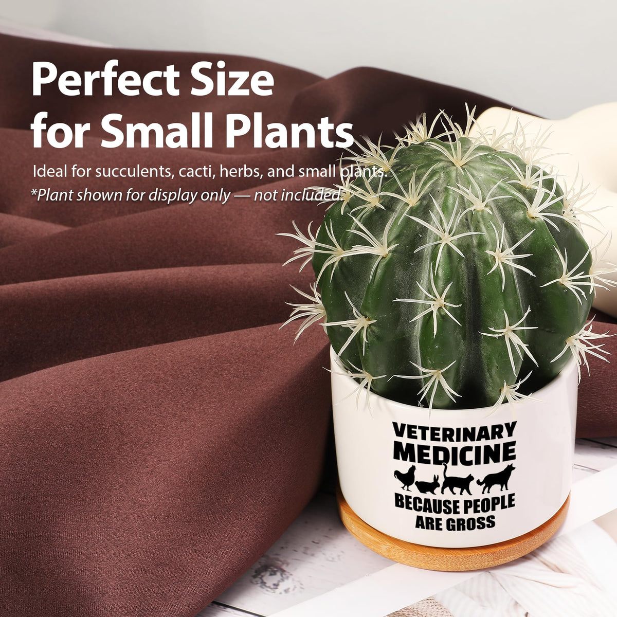 Loovelo plant lover desk decor pot for home or clinic
