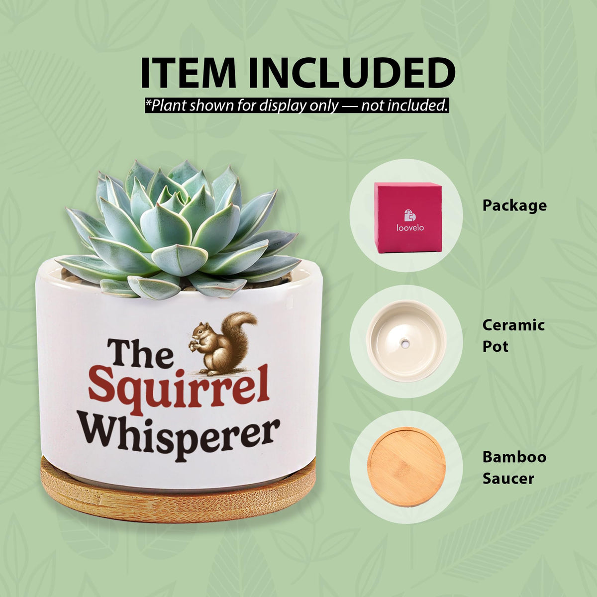 Loovelo quirky quote pot adds personality to home or office spaces.