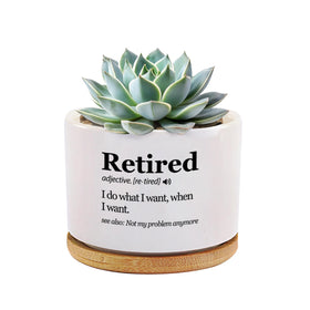 Loovelo Retired Definition ceramic pot close-up in white finish for elegant desk decor
