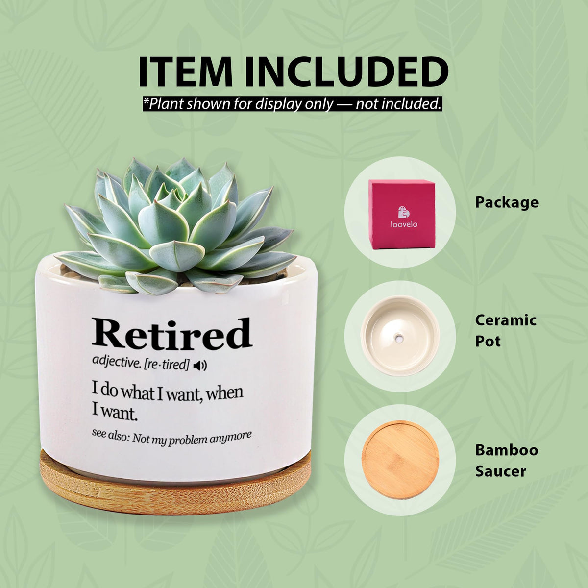 Loovelo Retired Definition no plants included in package