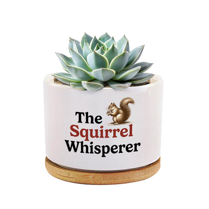 Loovelo Squirrel Whisperer ceramic pot on a desk boosts charm for home or office.
