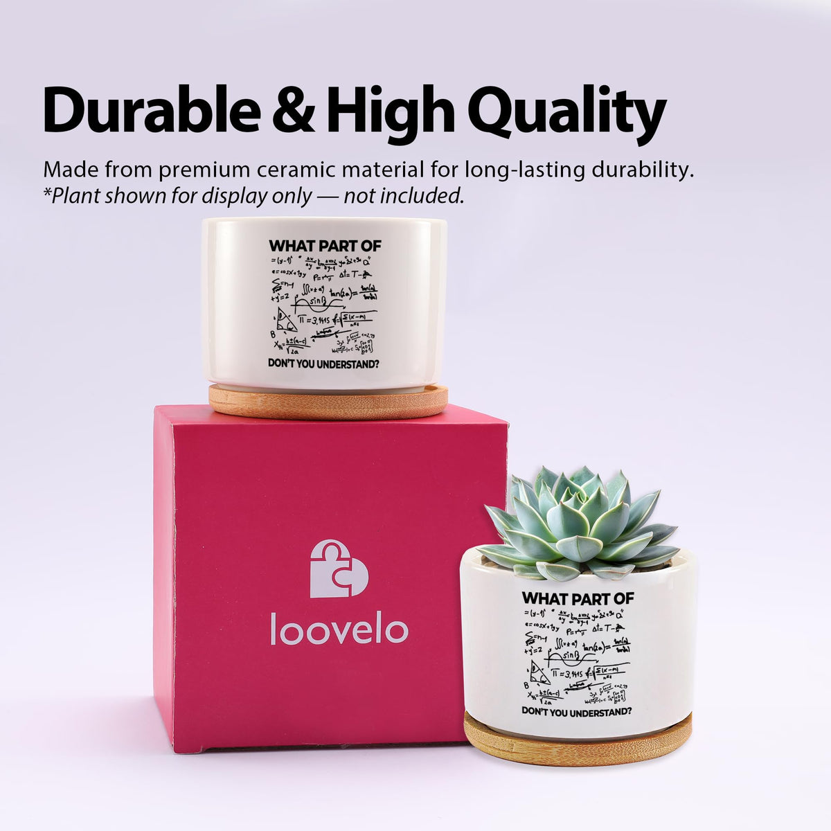 Loovelo succulent pot used on a desk with a small plant display.