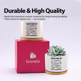 Loovelo succulent pot used on a desk with a small plant display.