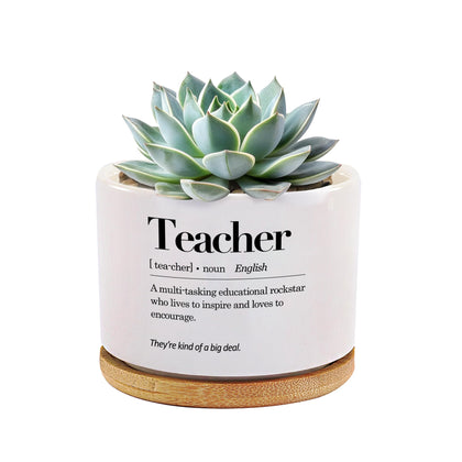 Loovelo Teacher Definition ceramic pot with bamboo tray on desk