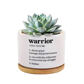 Loovelo Warrior Definition ceramic succulent pot with a bamboo tray for desks.