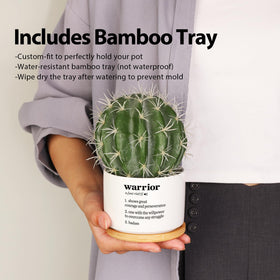 Loovelo Warrior Definition gift-ready packaging makes a thoughtful plant lover present.