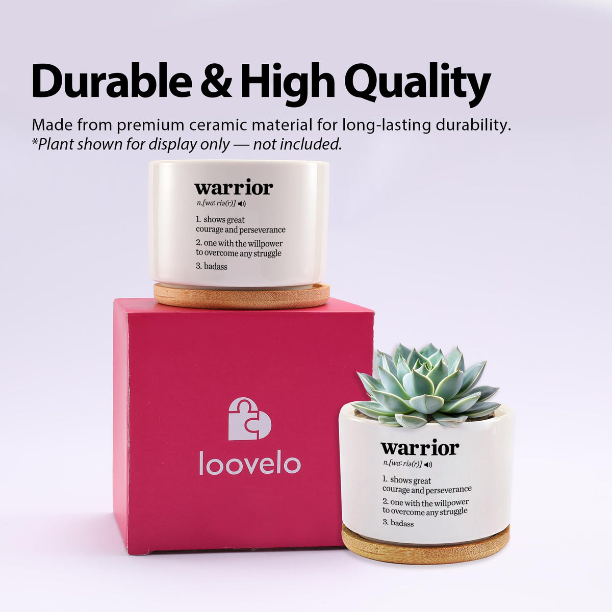 Loovelo Warrior Definition round minimalist design suits desks and shelves.