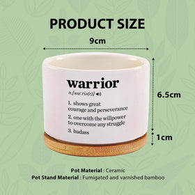 Loovelo Warrior Definition compact pot enhanced for desk or shelf accents.
